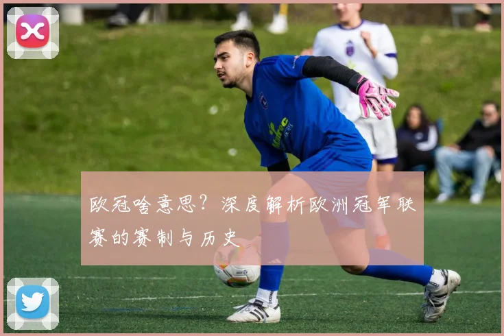 欧冠啥意思？深度解析欧洲冠军联赛的赛制与历史