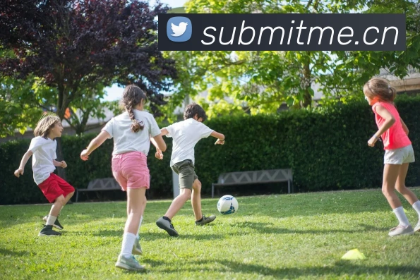 星空体育网页入口平台生态图